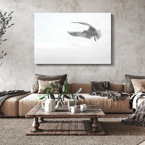 Black and White Seagull Wall Art | MusaArtGallery™