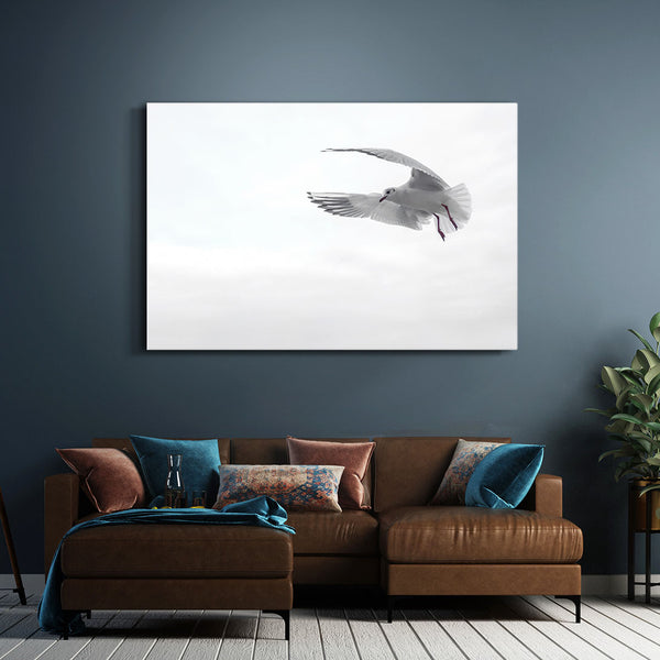 Black and White Seagull Wall Art | MusaArtGallery™