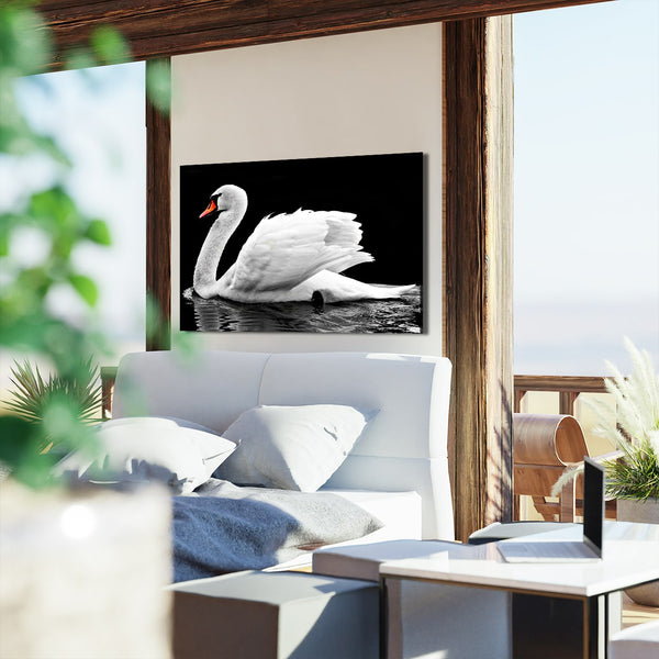 Black and White Swan Elegance Art | MusaArtGallery™