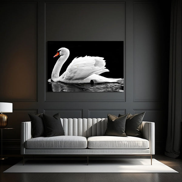 Black and White Swan Elegance Art | MusaArtGallery™