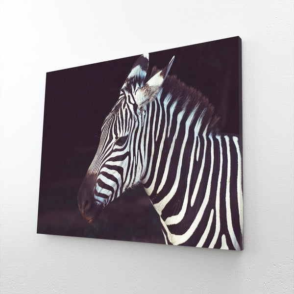 Black and White Zebra Art | MusaArtGallery™