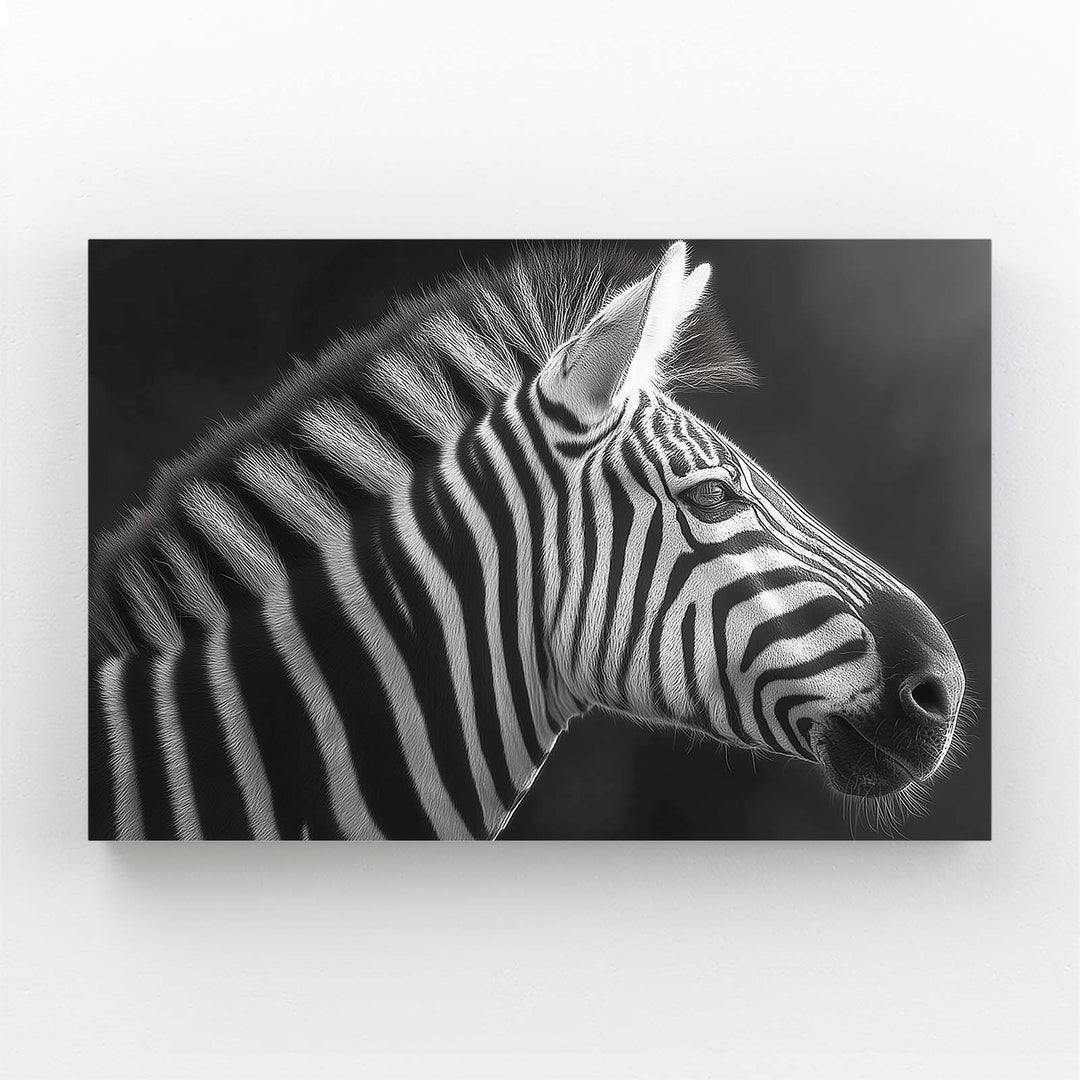 Black And White Zebra Artwork