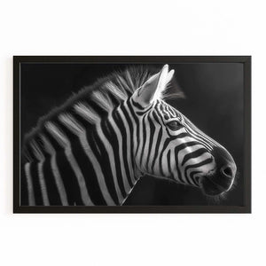 Black And White Zebra Artwork