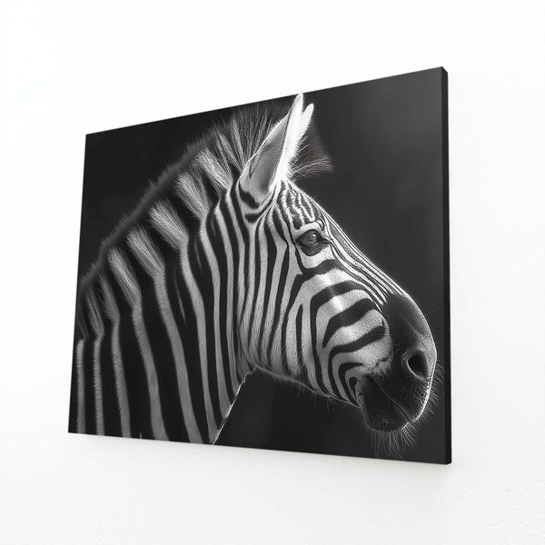 Black And White Zebra Artwork