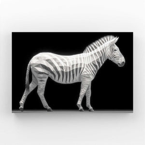 Black And White Zebra Canvas