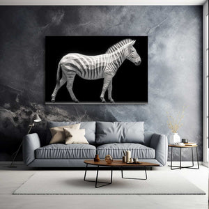 Black And White Zebra Canvas