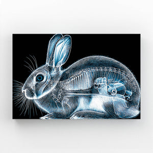Black Bunny Print