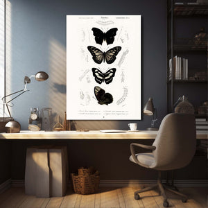 Black and White Butterfly Wall Art | MusaArtGallery™