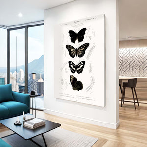 Black and White Butterfly Wall Art | MusaArtGallery™