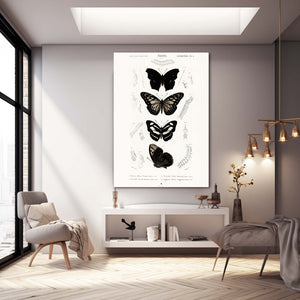 Black and White Butterfly Wall Art | MusaArtGallery™