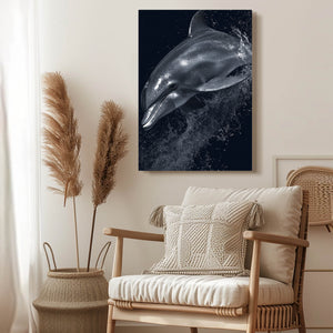Black Dolphin Artwork