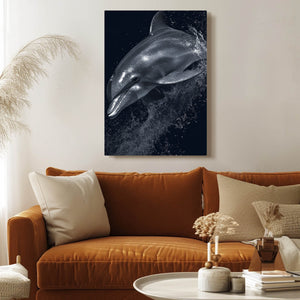 Black Dolphin Artwork