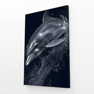 Black Dolphin Artwork