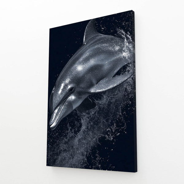 Black Dolphin Artwork