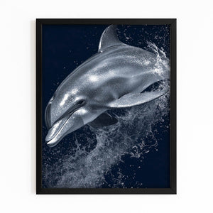 Black Dolphin Artwork