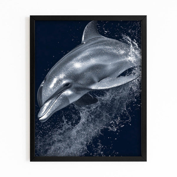 Black Dolphin Artwork