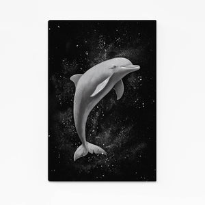 Black Dolphin Canvas