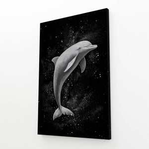 Black Dolphin Canvas