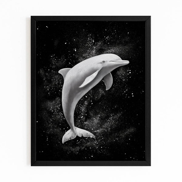Black Dolphin Canvas