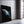 Black Dolphin Wall Art