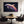 Black Dolphin Wall Decor
