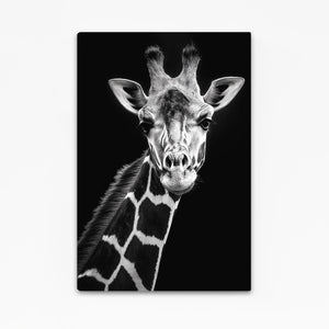 Black Giraffe Art
