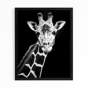 Black Giraffe Art