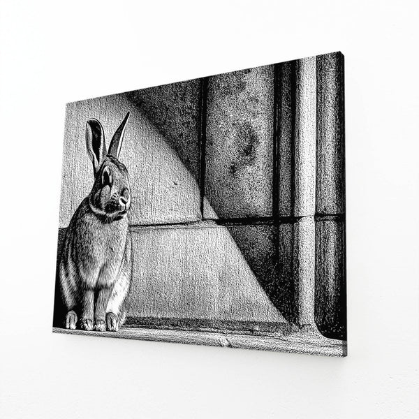 Black Horizontal Bunny Wall Art