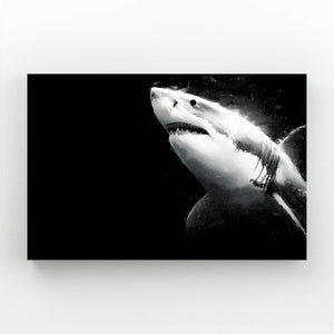 Black Shark Art