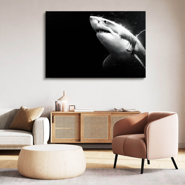 Black Shark Art