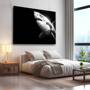 Black Shark Art