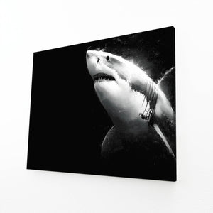 Black Shark Art