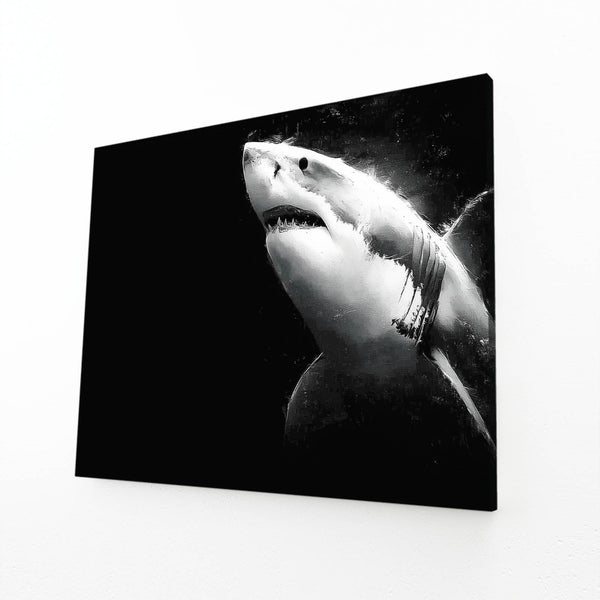 Black Shark Art