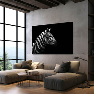 Black Zebra Artwork