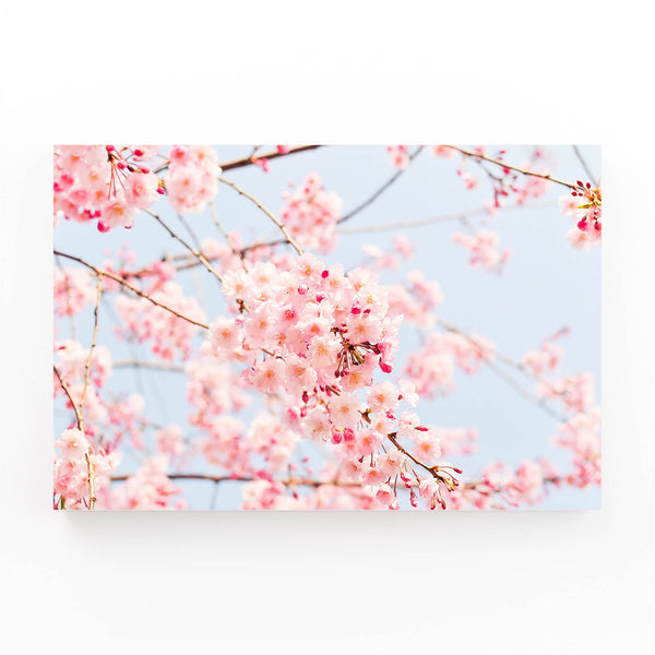 Blossom Beauty Pink Wall Art | MusaArtGallery™