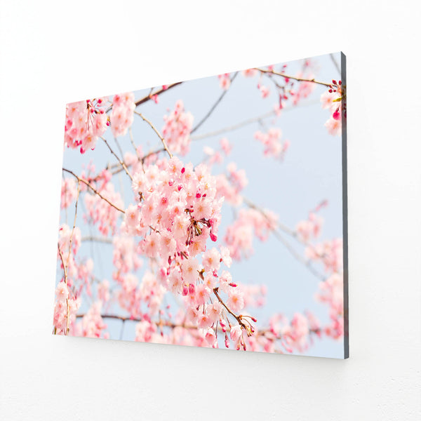 Blossom Beauty Pink Wall Art | MusaArtGallery™