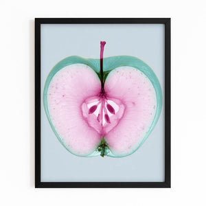 Blue Apple Art