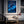 Blue Dolphin Art