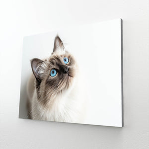 Blue Eyes Cat Art | MusaArtGallery™