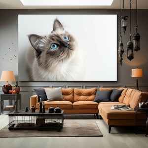 Blue Eyes Cat Art | MusaArtGallery™