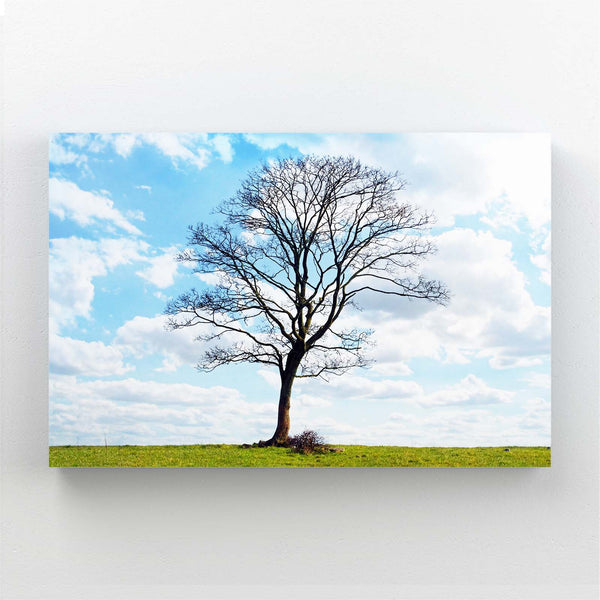 Blue Sky Tree Art | MusaArtGallery™