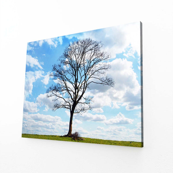 Blue Sky Tree Art | MusaArtGallery™