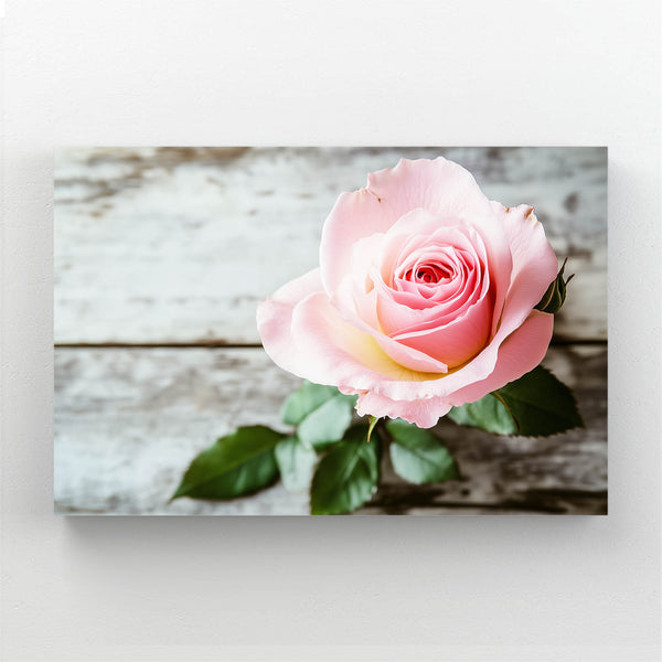 Blush Rose Flower Art | MusaArtGallery™