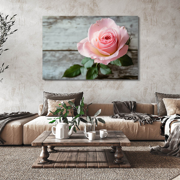 Blush Rose Flower Art | MusaArtGallery™