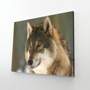  Brave Wolf Canvas Art  | MusaArtGallery™