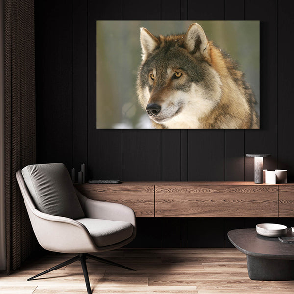  Brave Wolf Canvas Art  | MusaArtGallery™