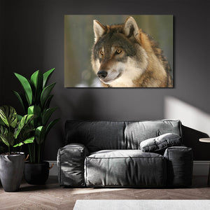  Brave Wolf Canvas Art  | MusaArtGallery™
