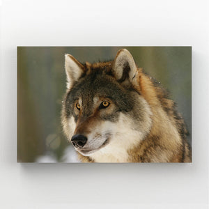  Brave Wolf Canvas Art  | MusaArtGallery™
