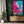 Bright Cherry Blossom Branch Wall Art