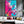 Bright Cherry Blossom Branch Wall Art